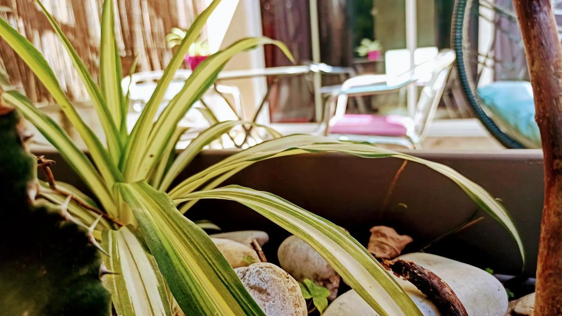 Studio Cosy, Grand Spa Privatif Et Parking Privee Centre Ville Menton 0*,  France